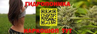 стаф Лесосибирск