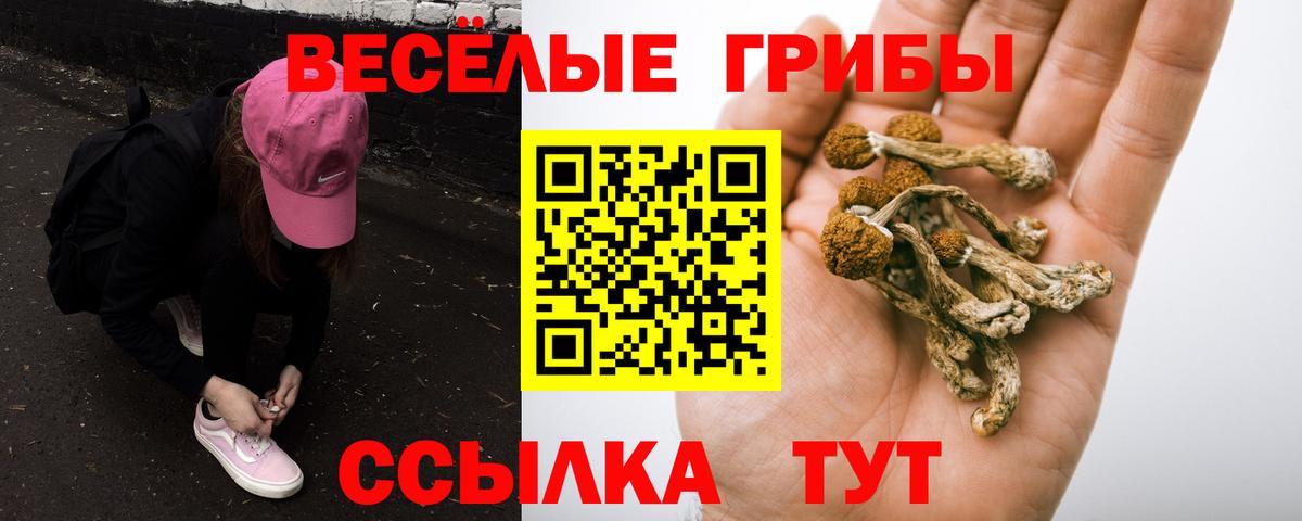 Галлюциногенные грибы ЛСД Сызрань